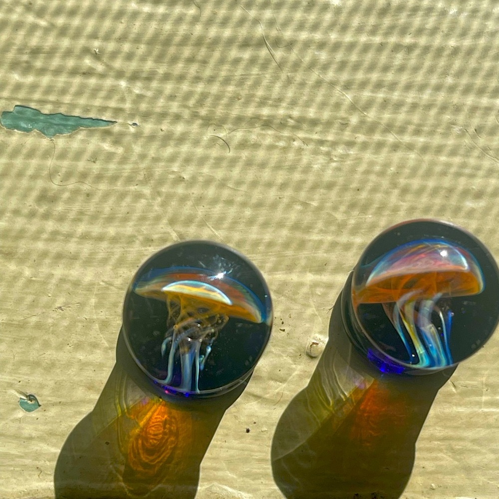 Jellyfish gauges - Picture 3 of 5